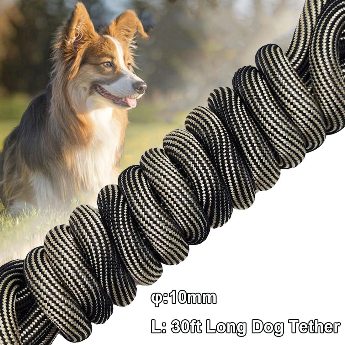 Tie-Out Check Cord Long Rope Dog Tether, 8Ft 12Ft 20Ft 30Ft 50Ft Dog Lead for Yard, Large Medium Dogs Oudoor Training, Playing, Camping, or Backyard (30Ft, Beige Black)