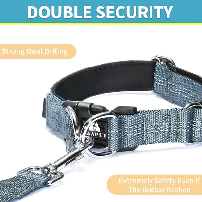 Comfortable Dog Collar with Double Security Dual D-Ring and ID Tag Hanger for Small Puppy, Medium and Large Dogs (L - 1.0" X (16"-24"), Grey)