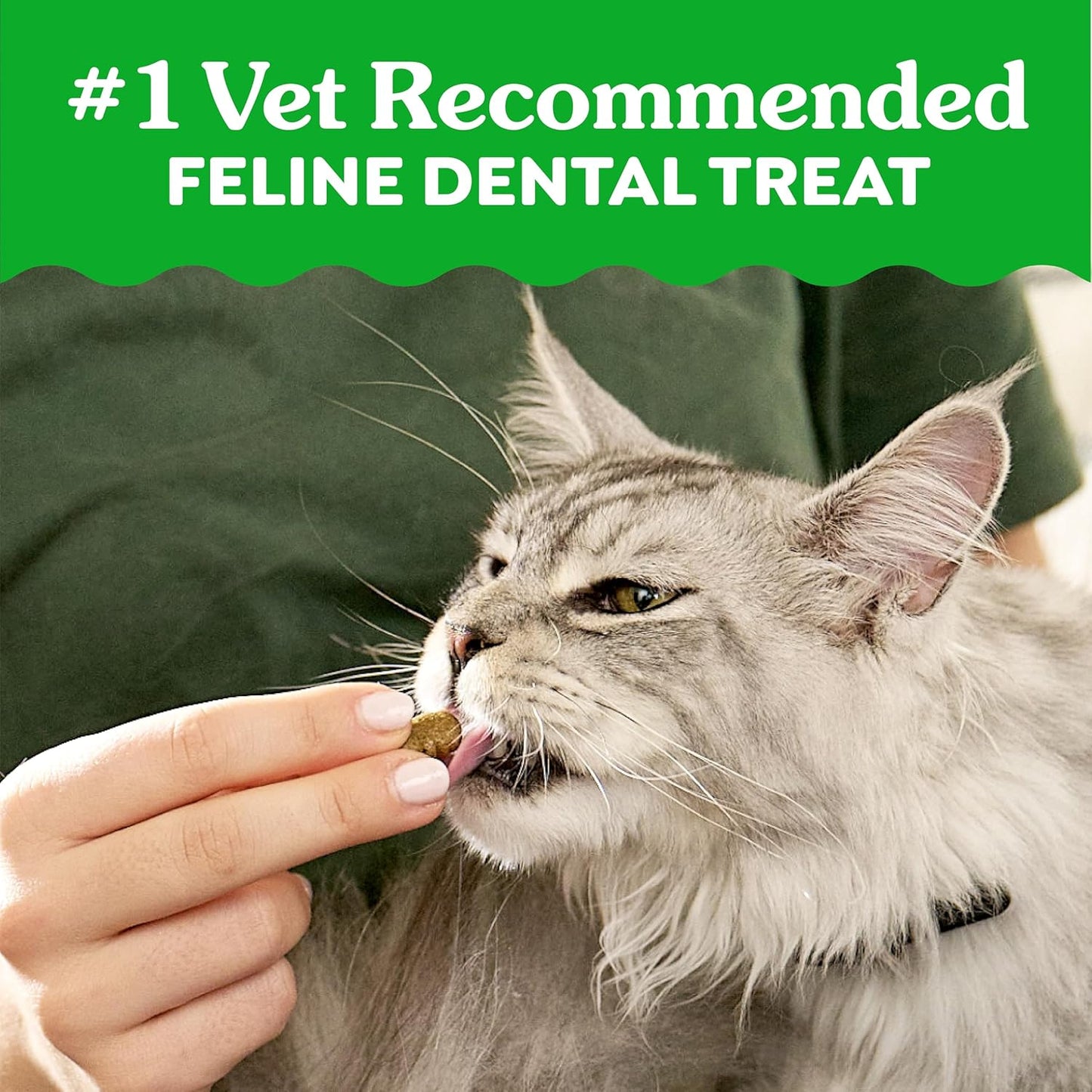 Cat Treats, Veterinarian-Recommended Adult Natural Dental Cat Treats, Tempting Tuna Flavor, 9.75 Oz. Tub